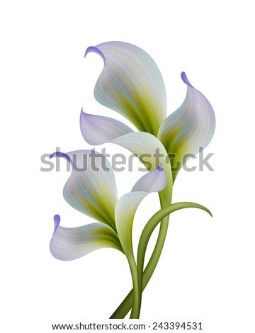 abstract flowers illustration isolated on white background, design elements