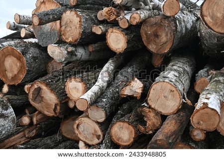 tree logs, cut tree trunks as a backdrop, spring pruning of trees, cut tree trunks, moss-covered arbor trunks, cut branches of shrubs, mistletoe on branches, sanitary pruning of trees, trimming trees,