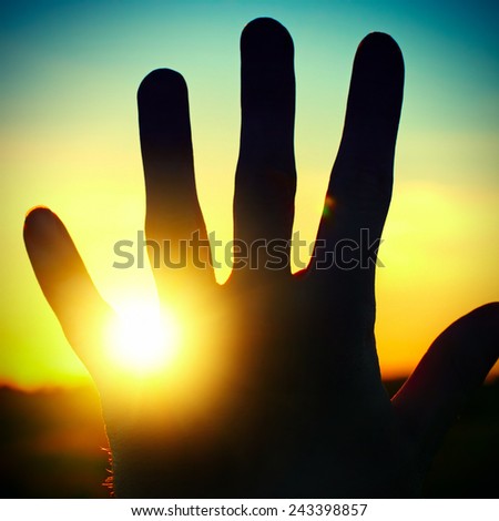 Toned Photo of a Hand Silhouette on Sunset Background