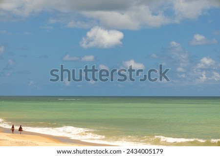 Two women walking away on the beach. Tropical landscape on a desolate beach. Horizon in the sea.