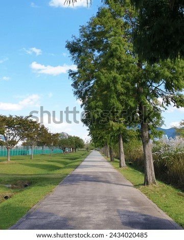 a walk with clear skies and street trees