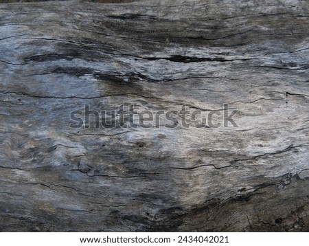 Old wood texture. Old rough gray wood background. Background for design close-up. Natural wooden grunge. The cracks of the old gray wood. Suitable for background.                               
