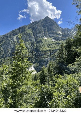 Stunning outdoor picture of mountains covered in trees