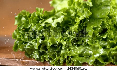 Fresh Vegetable And Lettuce Stock Image 