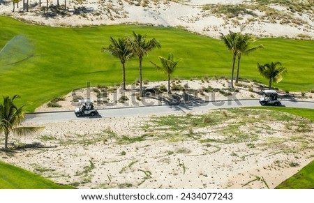 Very nice picture of a link course on the beach with sands and palm trees