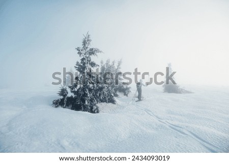 Mountaineer backcountry ski walking ski alpinist in the mountains. Ski touring in alpine landscape with snowy trees. Adventure winter sport. Low Tatras, slovakia Royalty-Free Stock Photo #2434093019