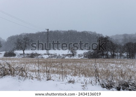 Snow-covered meadows and forests in heavy snowfall