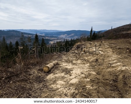 The tactile appeal of freshly cut wood. A harsh reminder about illegal logging in the Ukrainian Carpathians. Timber trucks destroyed the dirt road. Barbaric attitude towards nature.