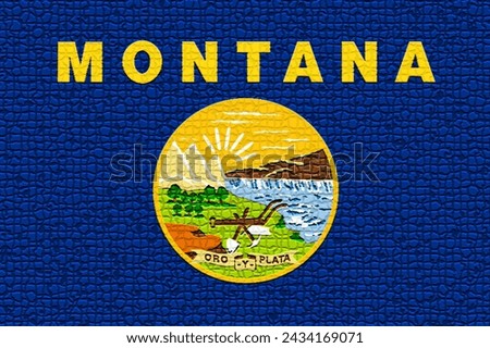 Montana flag Abstract grainy noise grungy texture color gradien