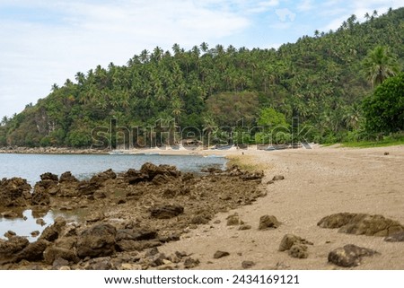 Photos taken from the coastline of Balatan, Camarines Sur, Bicol, Philippines showing corals and the clear waters. Royalty-Free Stock Photo #2434169121
