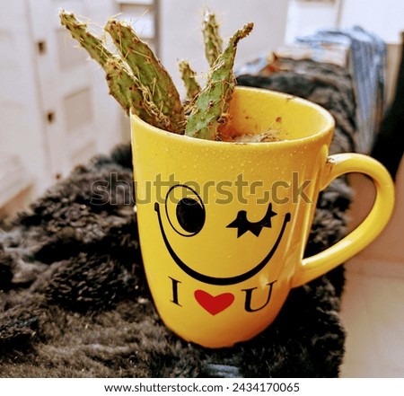 Cactus plant picture with beautiful mug of i love you..it shows that love always come up with so many problems and difficulties.