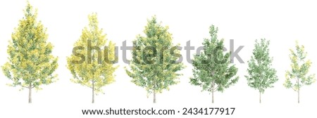 Maidenhair Trees isolated on white background. Forestscape. High quality clipping mask. Forest and green foliage