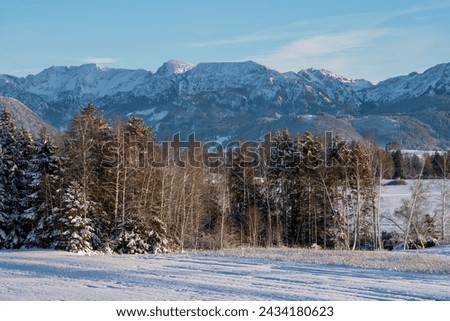 winter, mountain view, wallpaper, trees, forest