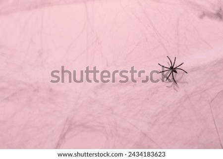 Cobweb and spider on pink background, top view