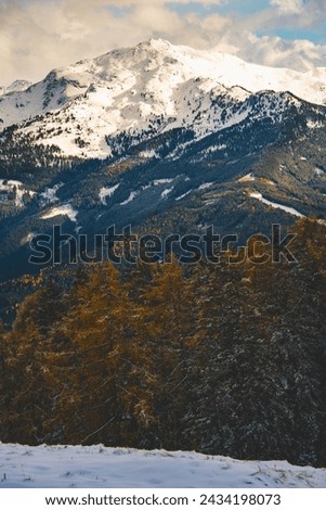 Snowy Mountains, Summits, autumn forest, tirol