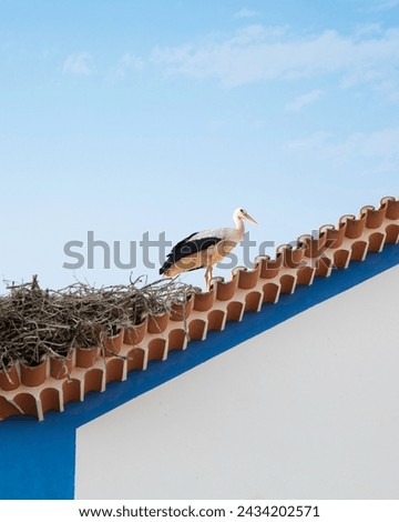 stork's nest on top of typical Portuguese building