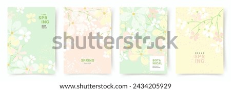 Spring trendy backgrounds with blooming branches and pink flowers. Cute abstract pastel vector templates for poster, invitation, card, flyer, cover, banner, brochure, social media, sale, advertising Royalty-Free Stock Photo #2434205929