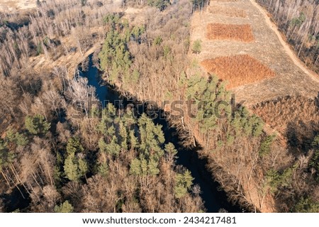 A natural river flowing between forests and fields in Poland, view from a drone.