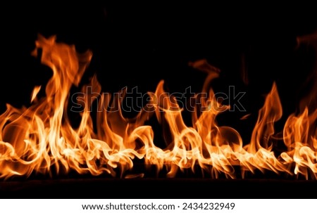 firestorm. Fire burning. Bright burning flames on a black background. Wall of Real fire, abstract background. Fire flames, isolated on dark background