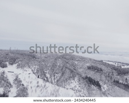 Drone photo: Cedar trees in a snowy mountain covered in pure white snow