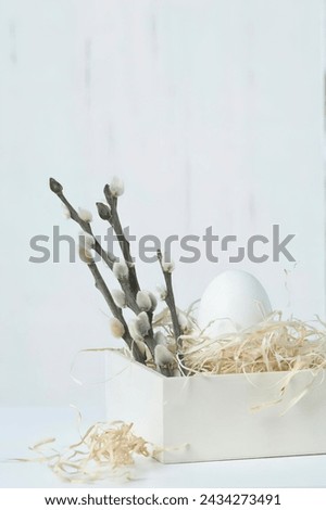 easteregg in nest, pussy willow twigs Royalty-Free Stock Photo #2434273491