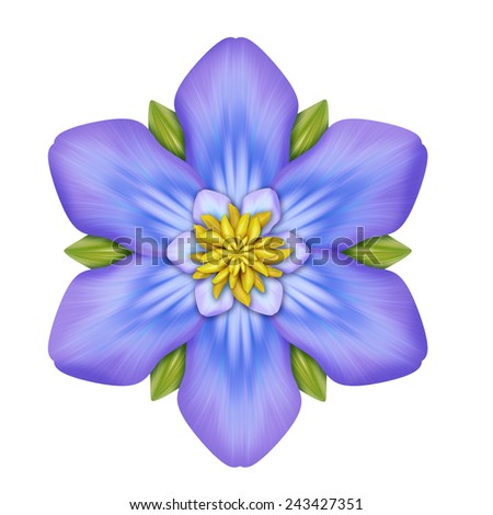 abstract violet clematis flower illustration isolated on white background, single design element