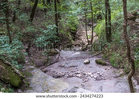 Looking downslope at a stream bed in the Duck River Complex near Columbia, TN, USA Royalty-Free Stock Photo #2434274223