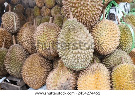 Group of fresh durians in the durian market. Royalty-Free Stock Photo #2434274461