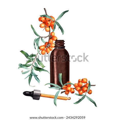 Composition with sea buckthorn branches and small brown glass bottle dropper and pipette for cosmetic oil, serum or medicine drops. Hand drawn watercolor illustration isolated on white. For clip art