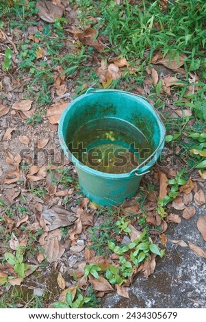 rain water collected in an old bucket on garden floor, stagnant water in an unattended bucket, can become breeding ground for mosquitoes, maintenance and care concept with copy space Royalty-Free Stock Photo #2434305679