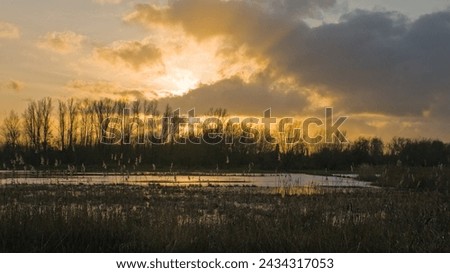 Winter sunset reflecting in the water in the wetlands of Bourgoyen nature reserve, Ghent, Flanders, Belgium