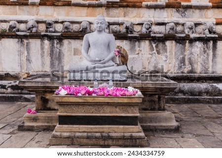Happy Buddha Purnima, Lord buddha statue in Anuradhapura, Sri Lanka