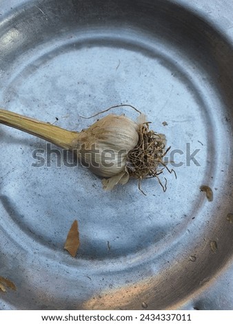 This is picture of Garlic. This is vegitable. 
