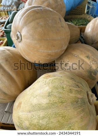 There is a lot of natural variation in the Seminole Pumpkin.The greenish tinge means it is under-ripe. Curing for a week or so should sweeten them and then they will be the pink-brown color.
