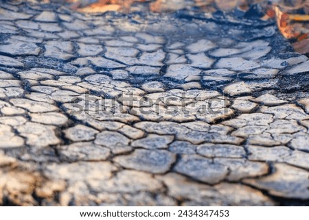 Closeup Pattern of Burned Parched Wood Texture Royalty-Free Stock Photo #2434347453