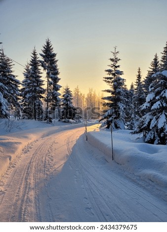 Winter daylight in Finland. Sunset and shadows. 