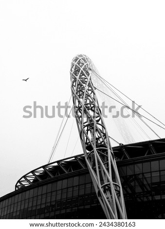 A foggy black and white picture of the Wembley arch with a line bird in flight
