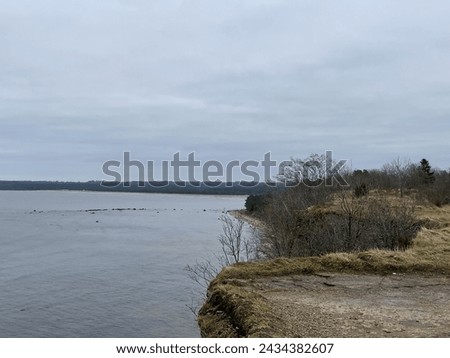 Pictures taken during winter in Estonia February 2024