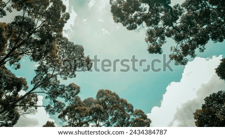 Green Trees and Clouds Natural Beauty Natural Photography Natural Trees and Clouds 