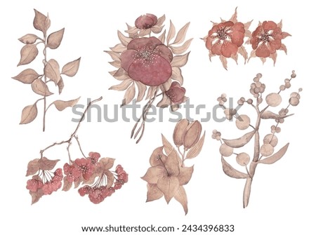 Floral clip-art in coffee tones. Floral illustrations in boho style