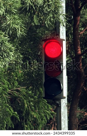 Classic traffic control semaphore with stop light on a green blurry background. 