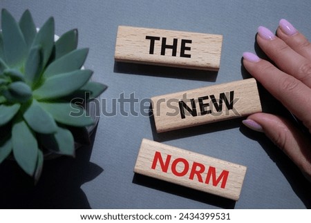 The new norm symbol. Concept words The new norm on wooden blocks. Beautiful grey background with succulent plant. Businessman hand. Business and The new norm concept. Copy space. Royalty-Free Stock Photo #2434399531