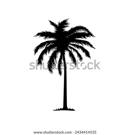 Palm tree icon. Black coconut silhouette palm isolated on white background. Coconuts palmtree for design summer prints. Palmetto trees. Abstract line beach logo. Shape hand draw. Vector illustration