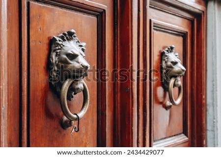 Beautiful antique door in the center of Pisa, in Tuscany, central Italy Royalty-Free Stock Photo #2434429077