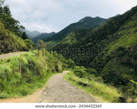 Taken on a mountainous road in Sri Lanka. A picture taken.