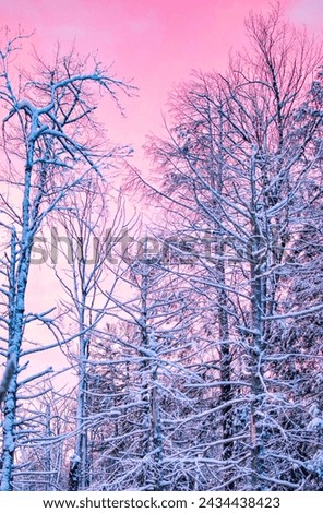 Fallen Snow Winter Landscape Photography Royalty-Free Stock Photo #2434438423