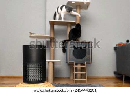 air purifier in the area with pets or cat. Air Pollution Concept. Air purifier, filters out invisible viruses, allergens or pollutants in the house on a cat tree background. Cute cat and Air purifier Royalty-Free Stock Photo #2434448201