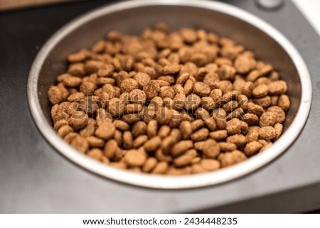 Food for animals background. Dry cat and dog food texture, pattern. Pet meal background close up. Dry food for pet dogs and cats. Dried pet food top view. Granules of good nutrition for dogs and cats. Royalty-Free Stock Photo #2434448235