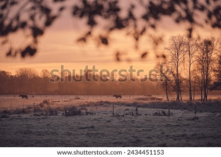 Cold Morning countryside winter in Germany. High quality photo
