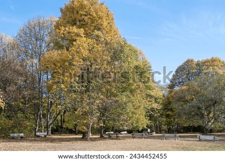 Amazing Autumn view of South Park in city of Sofia, Bulgaria